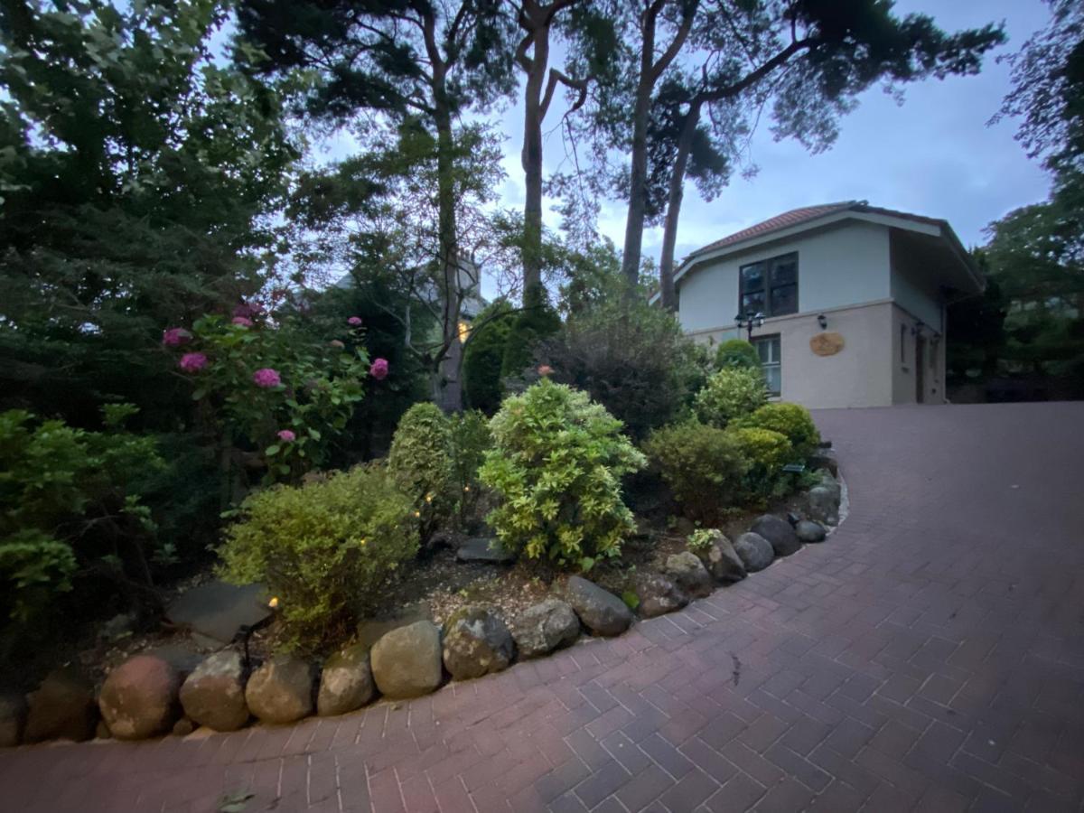 Ailim House Serviced Cottage Escape, Around The Corner From The Old Course Сент-Ендрюс Екстер'єр фото